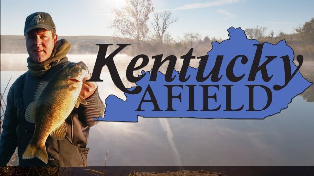 Kentucky Afield