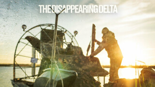 The Disappearing Delta