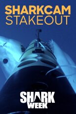 SharkCam Stakeout