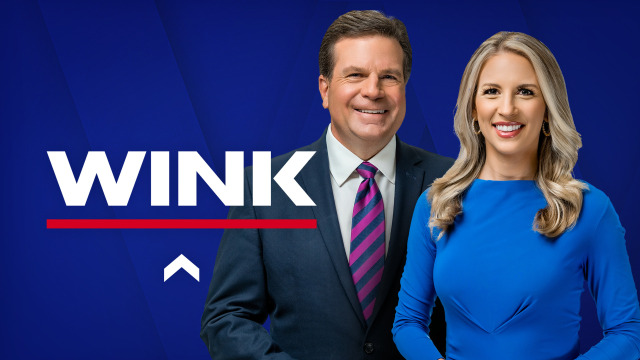 WINK News at 11