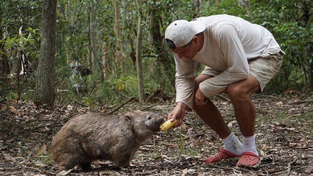 Wild Frank: Al rescate