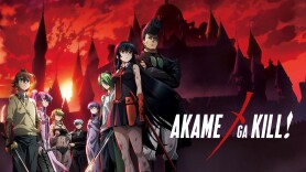 Akame Ga Kill