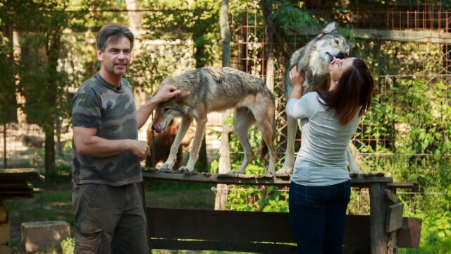 Zoltan the Wolfman