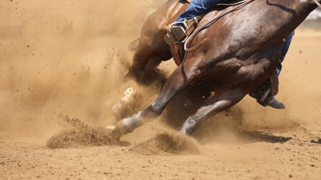 Pendleton Round Up