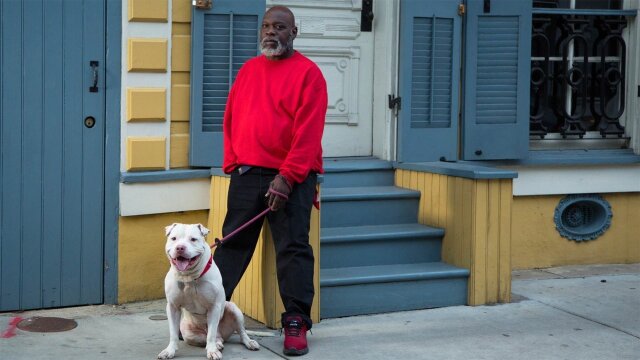 Pit Bulls & Parolees: Looking for a Home