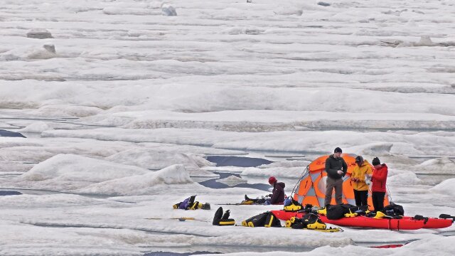 Beneath the Polar Sun