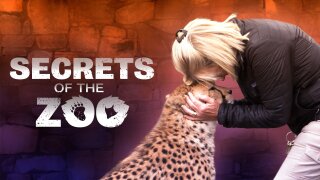 Secrets of the Zoo