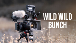 Wild Wild Bunch