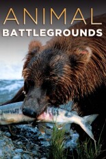 Animal Battlegrounds
