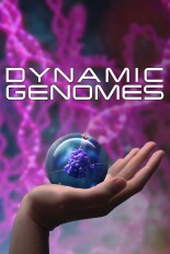 Dynamic Genomes