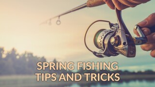 Spring Fishing Tips and Tricks