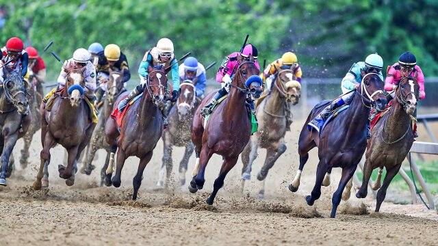 Horse Racing Highlights