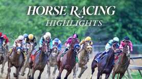 Horse Racing Highlights