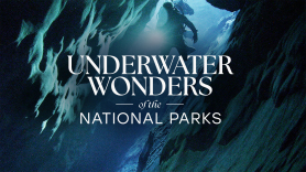 Underwater Wonders Of The National Parks