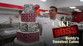 Cake Boss: Buddy's Sweetest Cakes