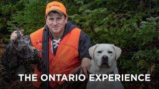 The Ontario Experience