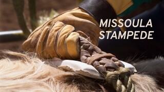 Missoula Stampede