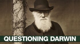 Questioning Darwin