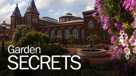 Garden Secrets