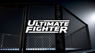The Ultimate Fighter