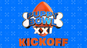 Puppy Bowl XXI Kickoff