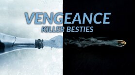 Vengeance: Killer Besties