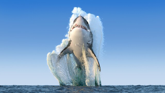 Africa's Primeval Oceans