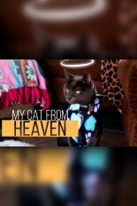 My Cat From Heaven