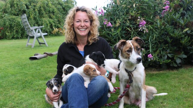 Kate Humble: My Welsh Sheepdog's Tale