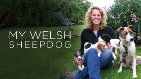 Kate Humble: My Welsh Sheepdog's Tale