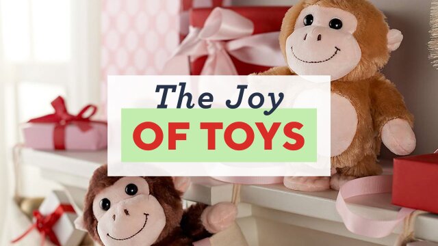 The Joy of Toys