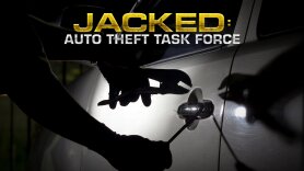 Jacked: Auto Theft Task Force