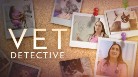 Vet Detective