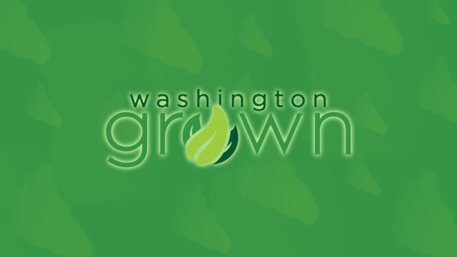 Washington Grown