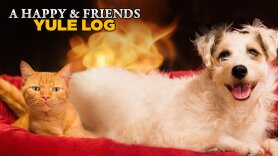 A Happy & Friends Yule Log