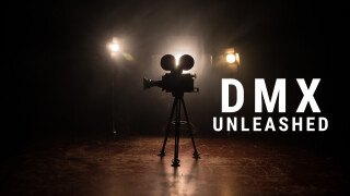 DMX: Unleashed