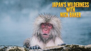 Japan's Wilderness With Nick Baker