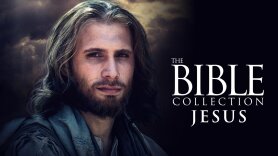 The Bible Collection: Jesus