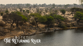Boteti: The Returning River