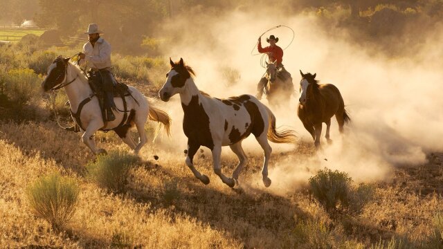 Planet Earth: Wild West