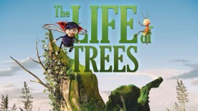 The Life of Trees