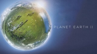 Planet Earth II