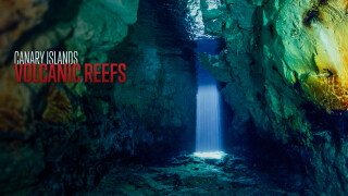 Canary Islands: Volcanic Reefs