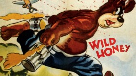 Wild Honey