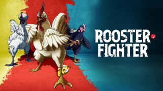 Rooster Fighter
