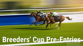 Breeders' Cup Pre-Entries