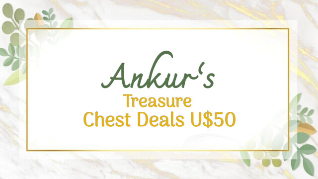 Ankur's Treasure Chest Deals Under $50