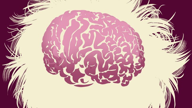 The Man Who Stole Einstein's Brain