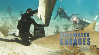 Blue Water Savages