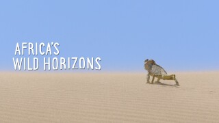 Africa's Wild Horizons